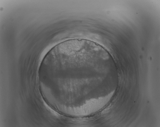 X0000073411527200608251512