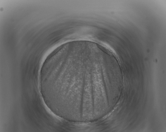 X0000073411528200608251512