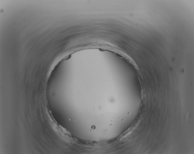 X0000073411530200608251512