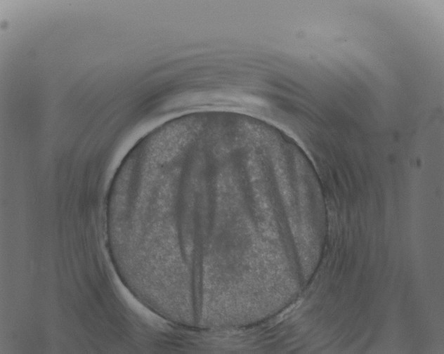 X0000073411531200608251512