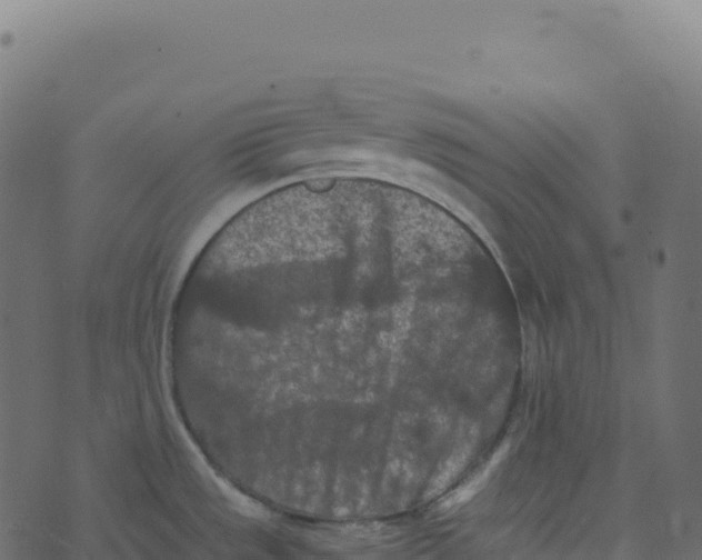 X0000073411533200608251512