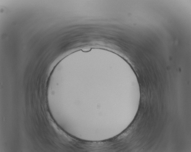 X0000073411534200608251512