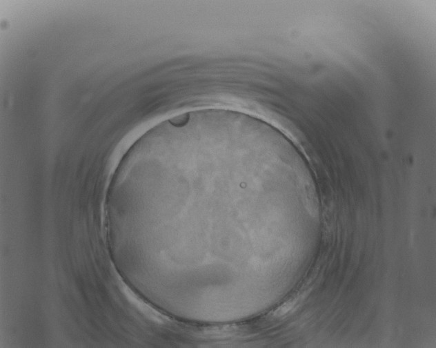 X0000073411535200608251512