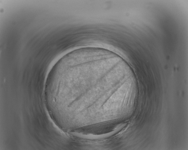 X0000073411536200608251512