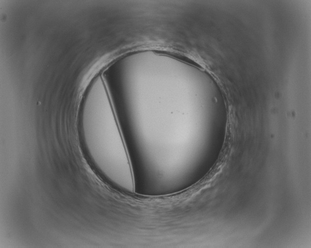 X0000073420007200607280947