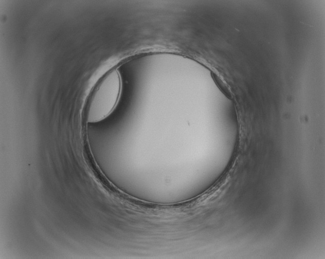 X0000073420008200607280946
