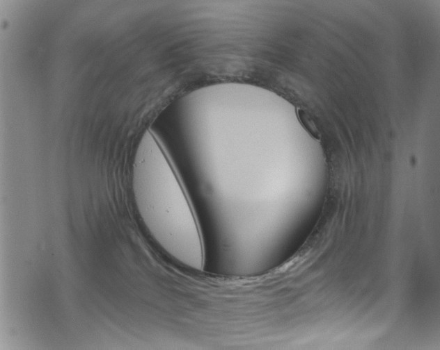 X0000073420040200607280946