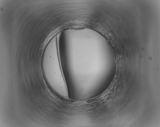 X0000073420051200607280945