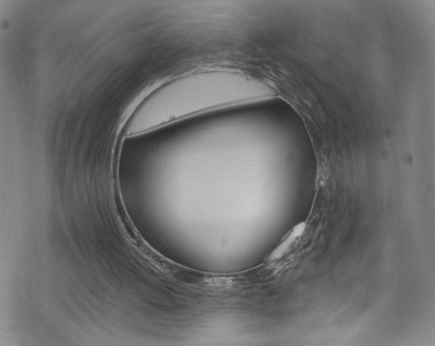 X0000073420052200607280945