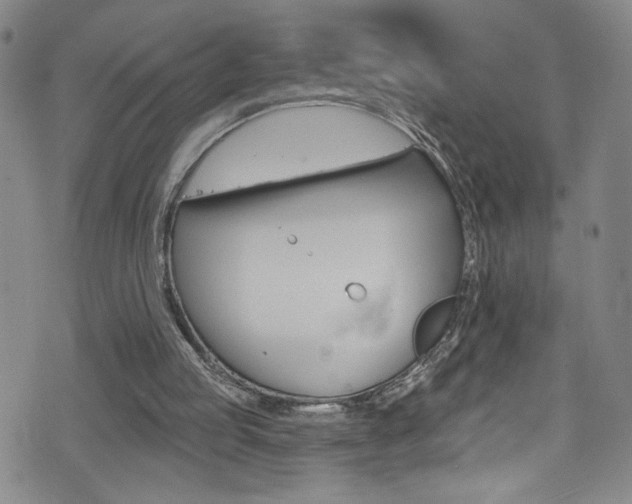 X0000073420053200607280945