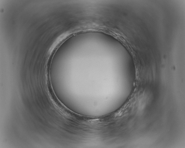 X0000073420054200607280945