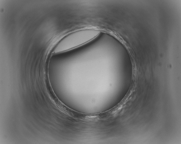 X0000073420055200607280945