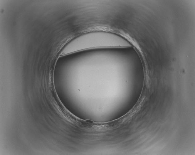 X0000073420057200607280945