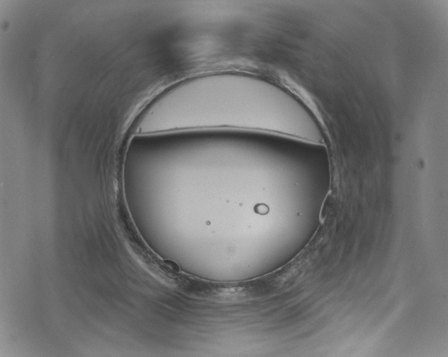 X0000073420059200607280945