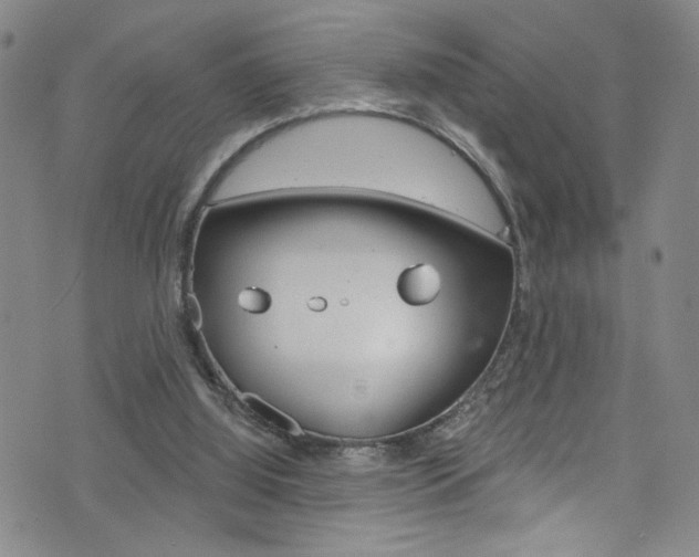 X0000073420060200607280945