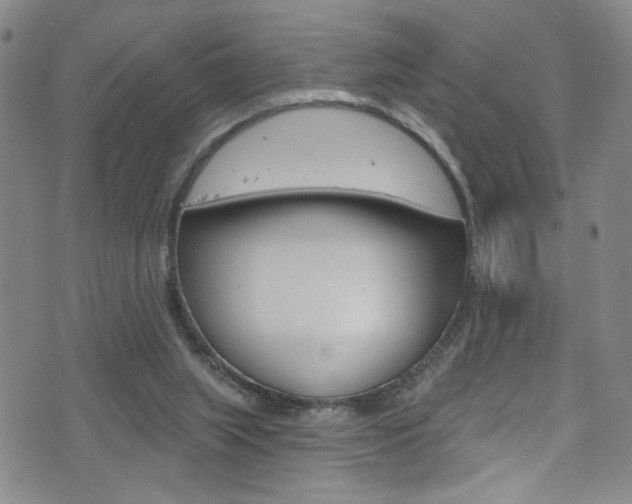 X0000073420063200607280945