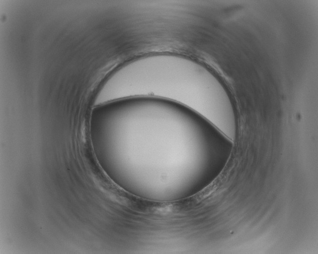 X0000073420068200607280945