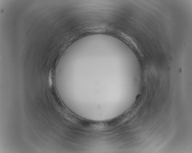 X0000073420069200607280945