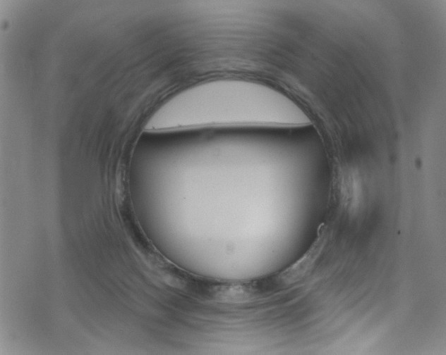 X0000073420074200607280945