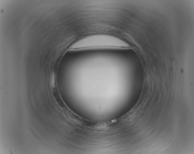 X0000073420076200607280945