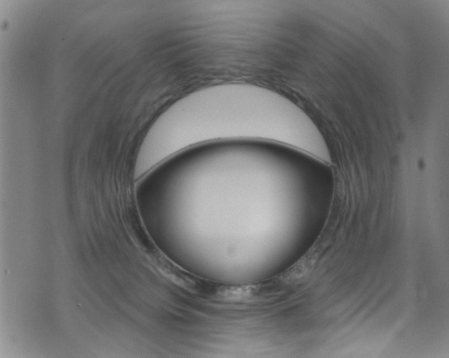 X0000073420084200607280946