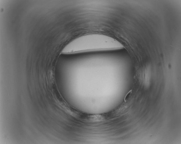 X0000073420087200607280946
