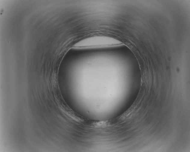 X0000073420092200607280946