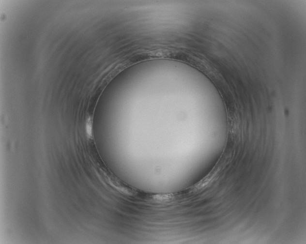 X0000073420095200607280946
