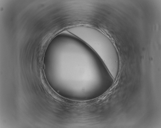 X0000073420097200607280945