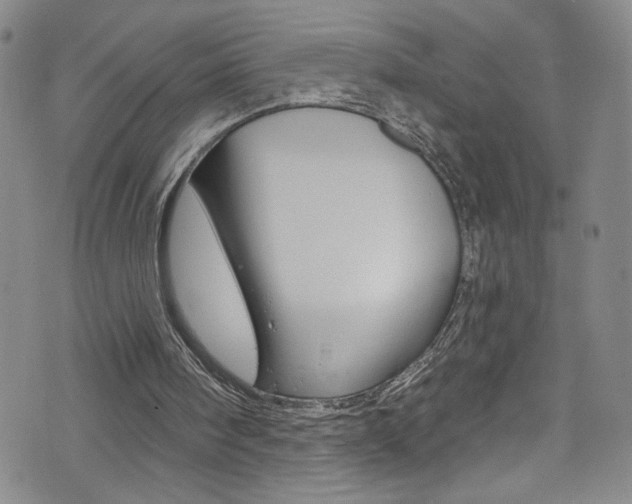 X0000073420098200607280945