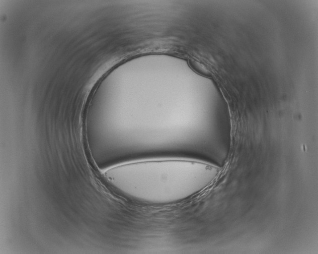 X0000073420100200607280945