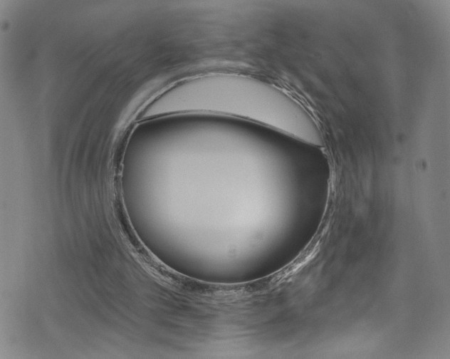 X0000073420101200607280945