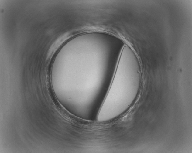 X0000073420103200607280945