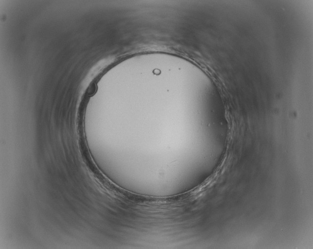 X0000073420104200607280945