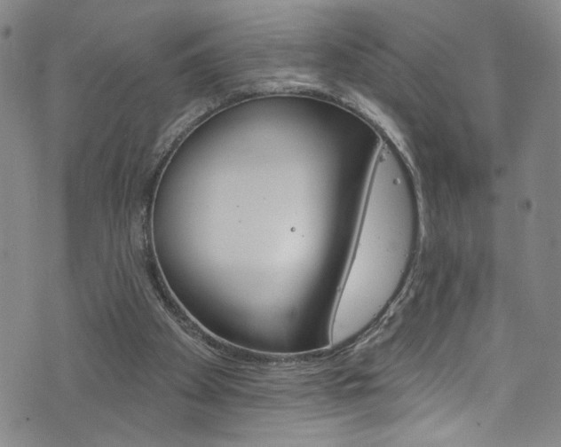 X0000073420105200607280945