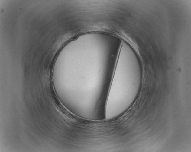 X0000073420107200607280945