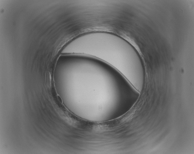 X0000073420109200607280945
