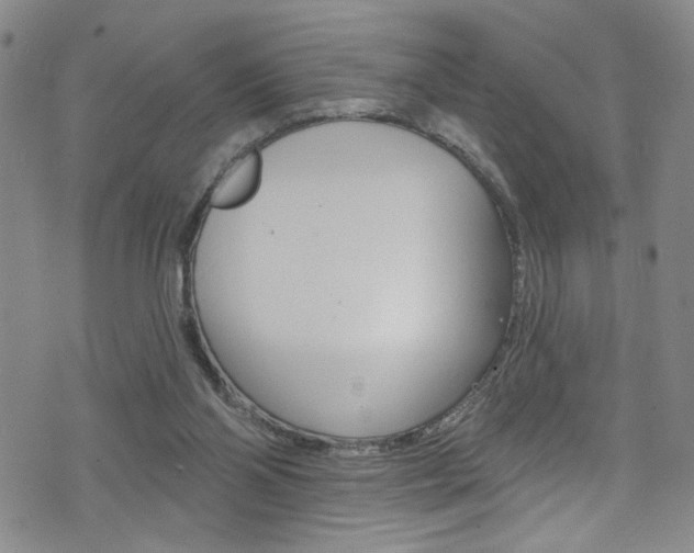 X0000073420110200607280945