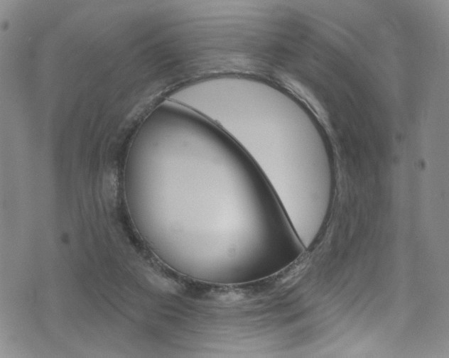 X0000073420113200607280945
