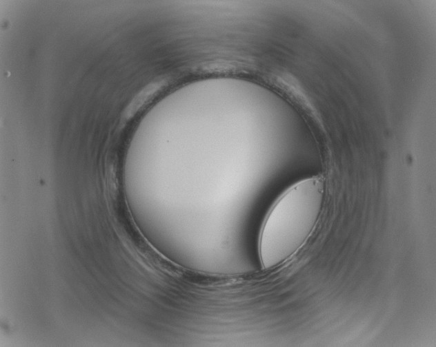 X0000073420116200607280945