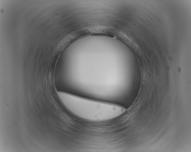 X0000073420117200607280945
