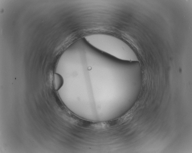 X0000073420118200607280945