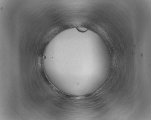 X0000073420122200607280945