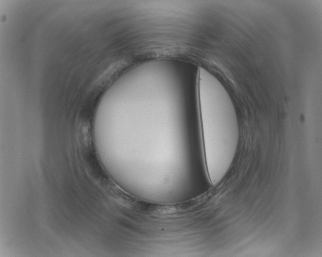 X0000073420123200607280945
