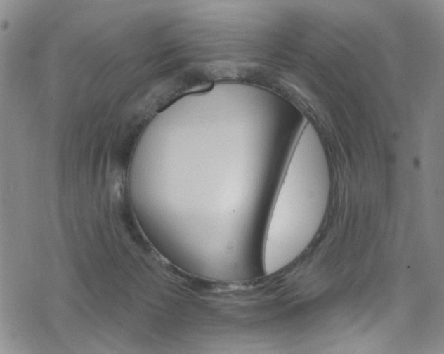 X0000073420125200607280945