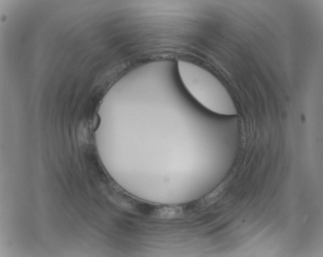 X0000073420126200607280945