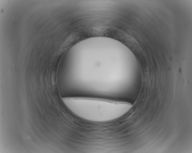 X0000073420131200607280944