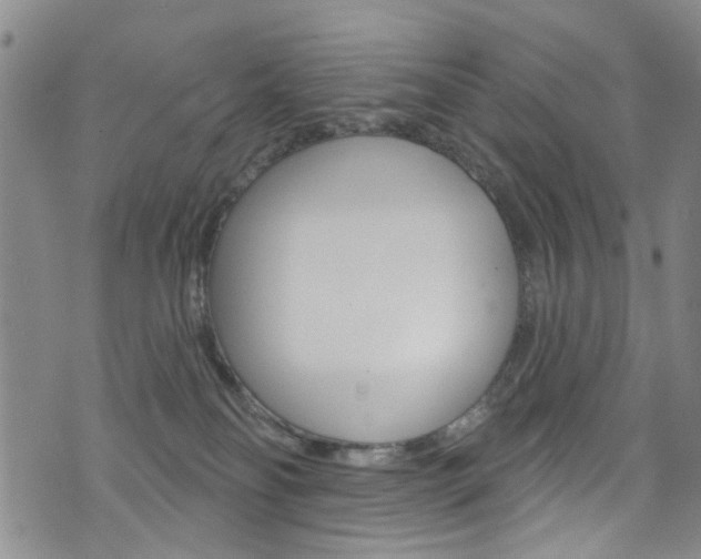 X0000073420134200607280944