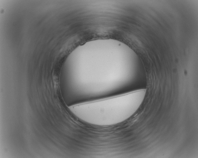 X0000073420135200607280944