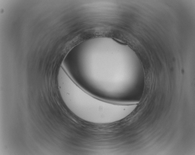 X0000073420137200607280944